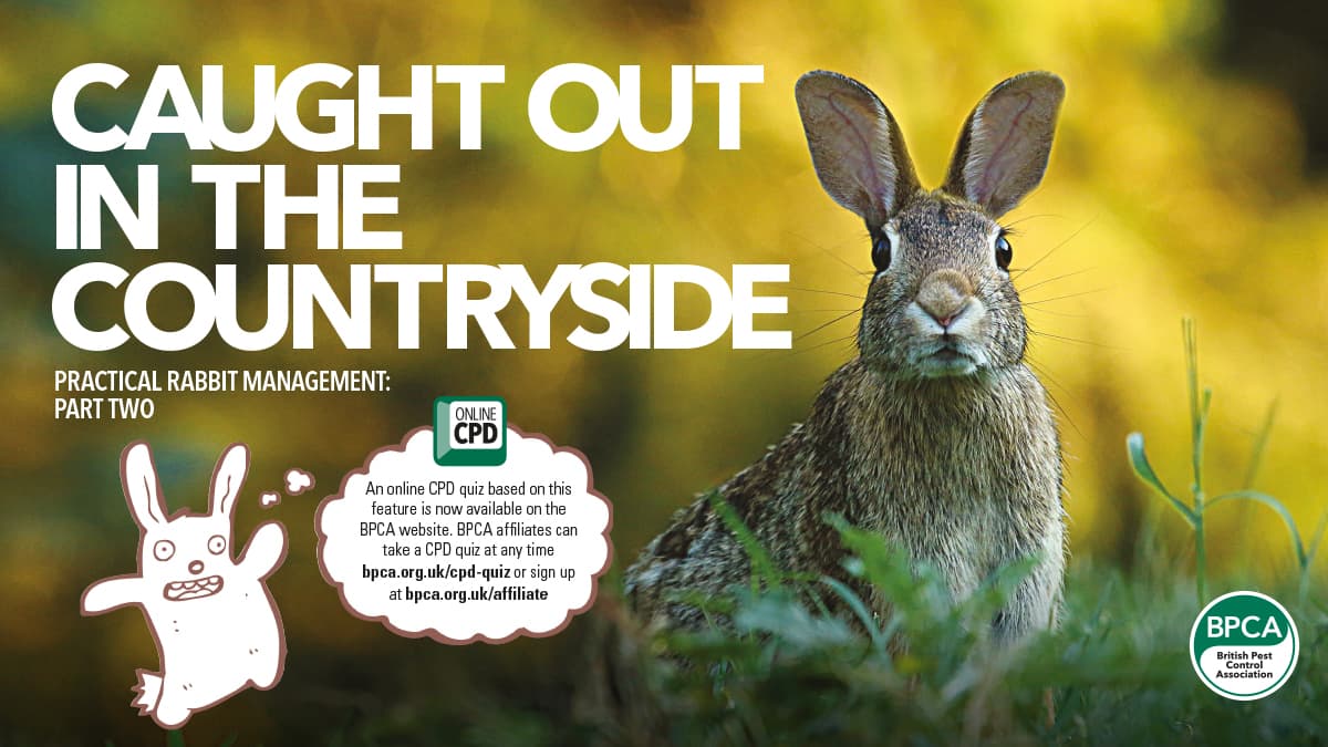 AI-Powered Rabbit Management Mobile App